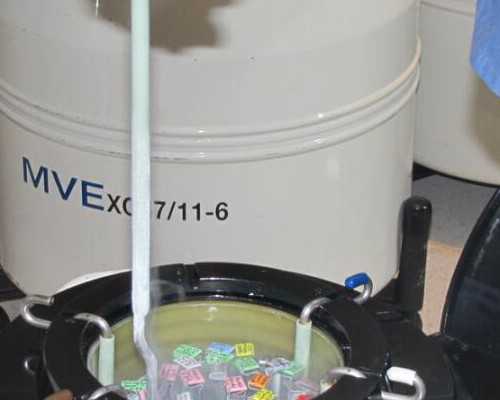 国内合作供卵,温州比较出名的试管医院成功率，这几家均上榜