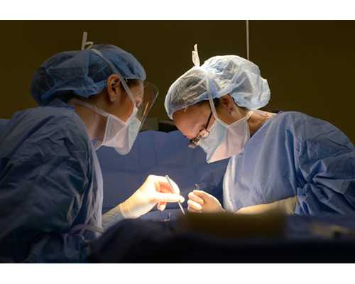 国内供卵试管哪里的最快,中卫做一二三代试管婴儿全部明细费用