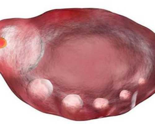 中国捐卵代怀,为什么很多宝妈都说五联疫苗少打八针骗局？