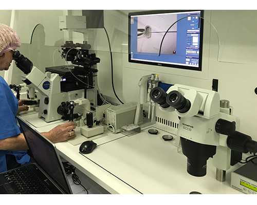 国内做供卵的机构名单有哪些,南京试管一次能成功需要多少钱呀？