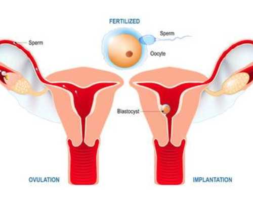 国内供卵哪里有机构,2025年国内十大三代试管医院排名排行榜来了