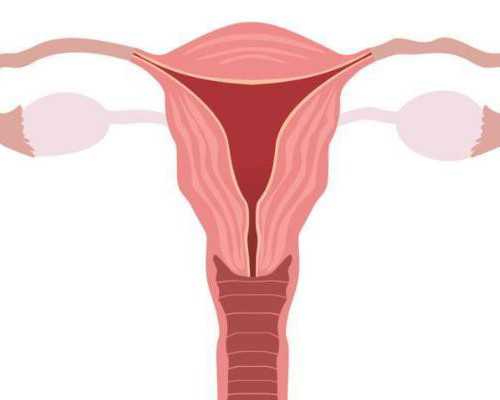 国内供卵医院排名前十,卵巢早衰做试管内膜薄有影响吗