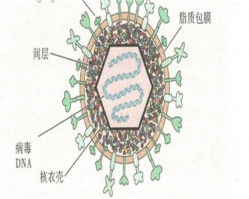 郑州多囊备孕攻略：PCOS吃达英能怀孕吗？费用避坑指南